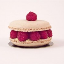 Macaron framboises